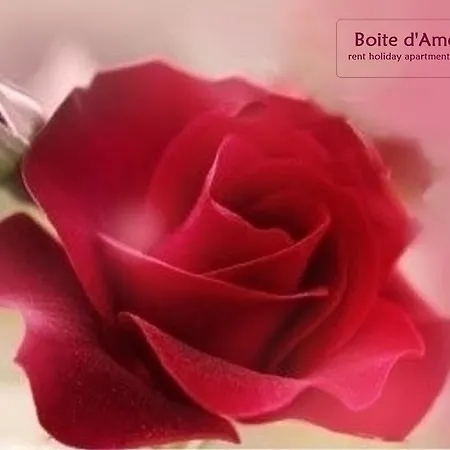 Apartmán Boite D'amour Cannes