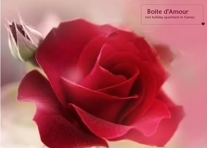شقة Boite D'amour كان